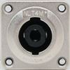 NLT4MP front