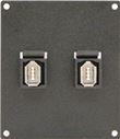 2 Port Firewire 400 6 Pin Module Plate